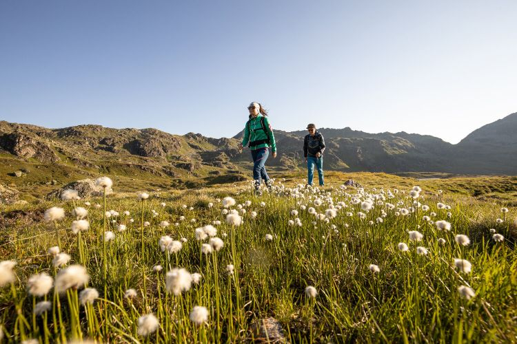 Met Chalet.nl naar Gerlos in de zomer