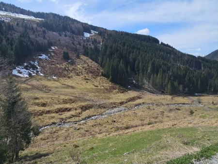 Groen dal met bosrand en laatste sneeuwresten – Wimmertal vanuit Gmünd, Gerlos